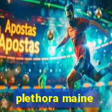 plethora maine